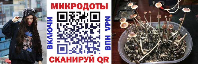 блэк спрут зеркало  Кумертау  Псилоцибиновые грибы мицелий 