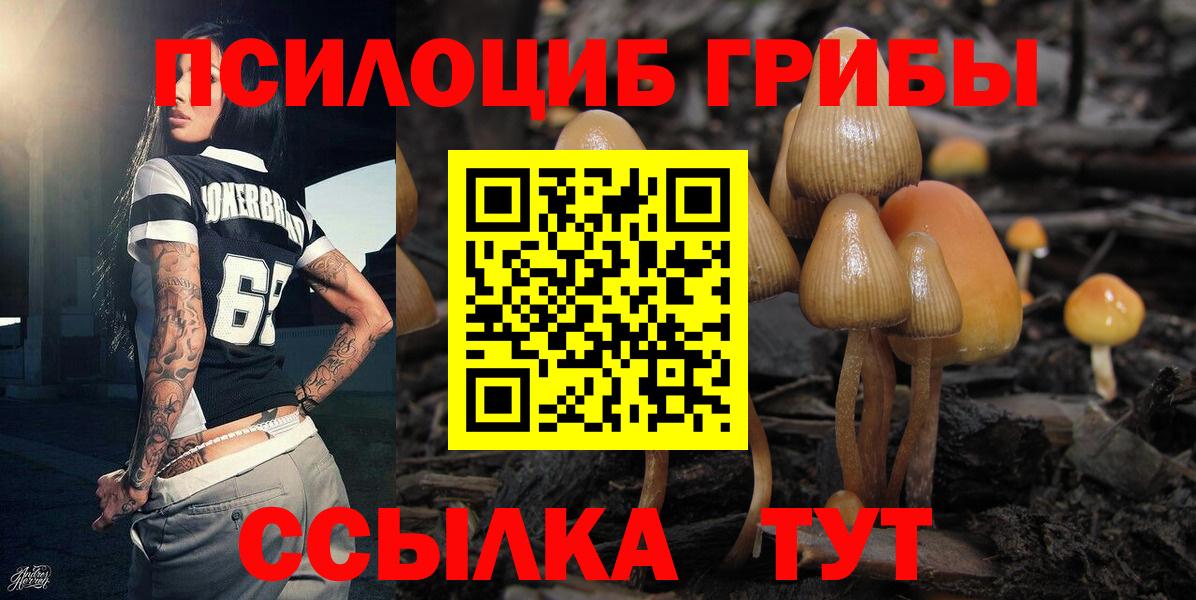 Кумертау  Галлюциногенные грибы ЛСД  Вход с VPN 
