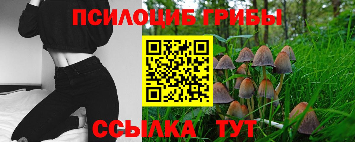 ГАШ  Конопля  Лсд 25  Кумертау  Вход с VPN  ГАШИШ  MDMA  МЕФ кристаллы 