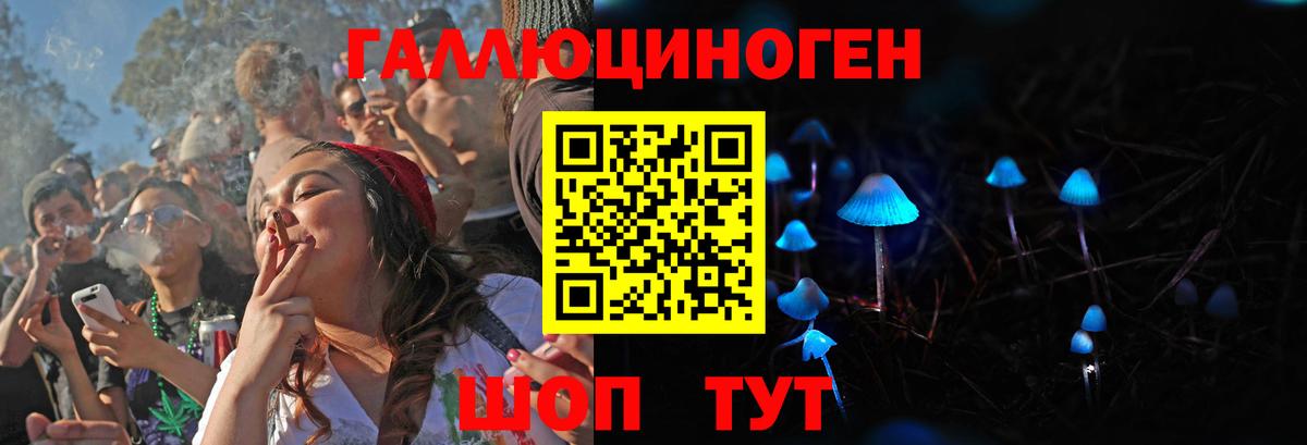 Галлюциногенные грибы Psilocybine cubensis Кумертау